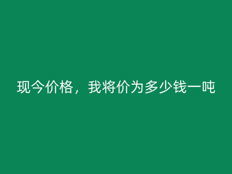 現今價格，我將價為多少錢一噸